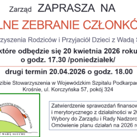 Zebranie 2026 Zebranie 2026